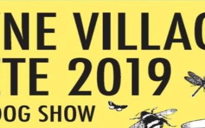 Lyne Village Fete 2019 poster